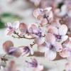 Artificial Blush Japanese Cherry Stem