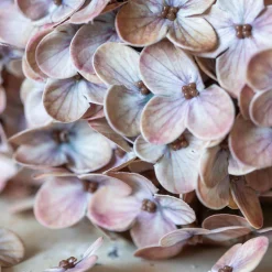Artificial Real Touch Antique Blush Hydrangea Stem