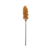 Artificial Sunset Sorghum Stem