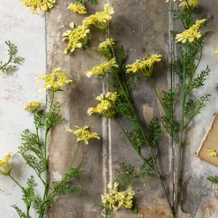 Artificial Wild Dill Stem