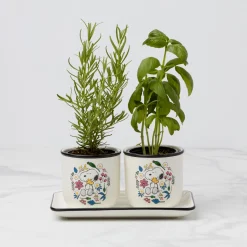 Chef Snoopy Herb Pots - Set Of 2