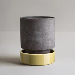 Hoff Raw Grey & Glazed Pale Yellow 14cm Pot with Saucer