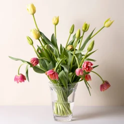 Kobenhavner Glass Clear Vase