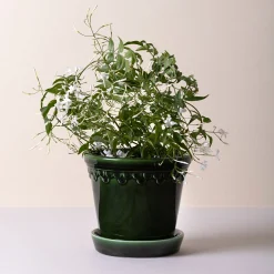 Kobenhavner Glazed Emerald Green 16cm Pot with Saucer