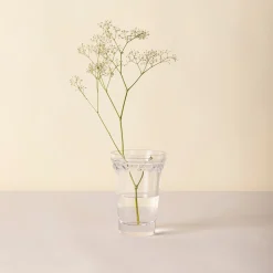 Kobenhavner Small Clear Glass Vase