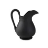 No. 3 Black Aviary Pitcher