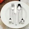 Shangrila Frosted 20-Piece Flatware Set