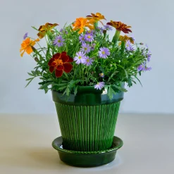 Simona Glazed Emerald Green 12cm Pot with Saucer