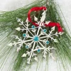 2026 Snow Majesty Ornament