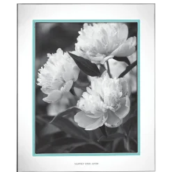 Take The Cake 8x10 Photo Frame